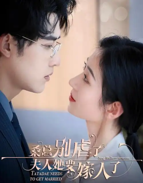 热播电视剧全集《长夜燃灯》手机免费在线观看